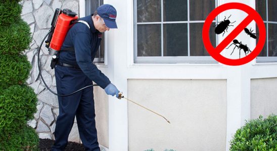 Bozyaka Kene İlaçlama böcek ilaçlama ve haşere kontrolü — ilaclama-tr.com